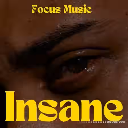 Focus Music Insane [WAV] - Sample Pack Artwork