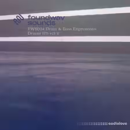foundwav sounds FWS004 Drum and Bass Expressions Drums 170 Vol 2 [WAV] - Sample Pack Artwork
