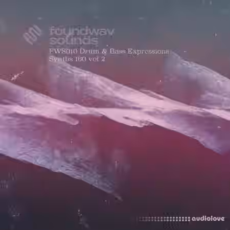 foundwav sounds FWS010 Drum and Bass Expressions Synths 160 Vol 2 [WAV] - Sample Pack Artwork