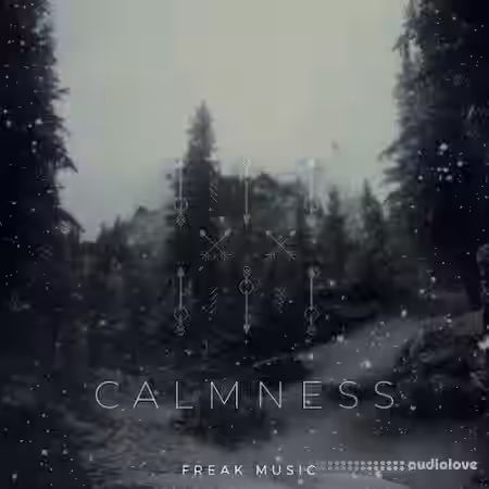 Freak Music Calmness [WAV, MiDi, Synth Presets] - Sample Pack Artwork