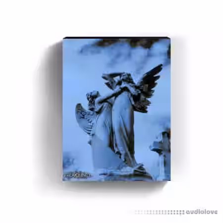 Freakquincy Angels Drum Kit [WAV] - Sample Pack Artwork