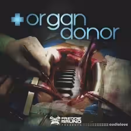 Freddie Bruno Organ Donor [WAV] - Sample Pack Artwork