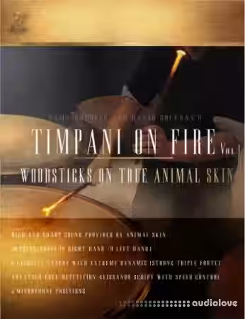 FTSamples Timpani On Fire Vol.1 [KONTAKT] - Sample Pack Artwork