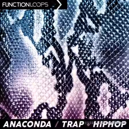Function Loops Anaconda Trap and Hiphop [WAV] - Sample Pack Artwork