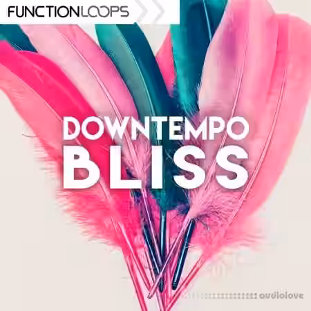 Function Loops Downtempo Bliss [WAV] - Sample Pack Artwork