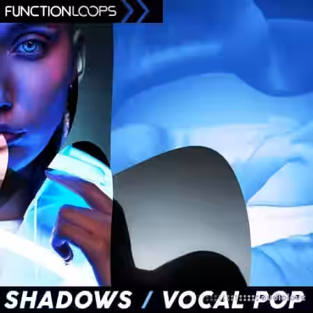 Function Loops Shadows - Vocal Pop [WAV] - Sample Pack Artwork