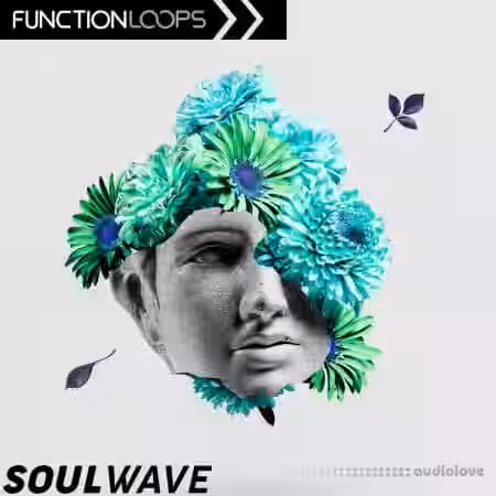 Function Loops Soulwave [WAV, FULL, MiDi] - Sample Pack Artwork