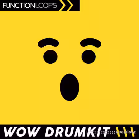 Function Loops Wow Drumkit Hyperpop and Beyond [WAV] - Sample Pack Artwork