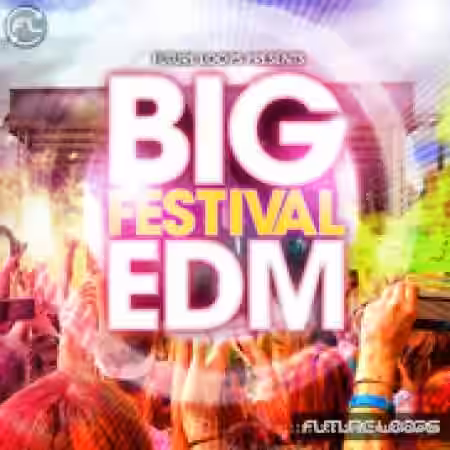 Future Loops Big Festival EDM [WAV, MiDi] - Sample Pack Artwork