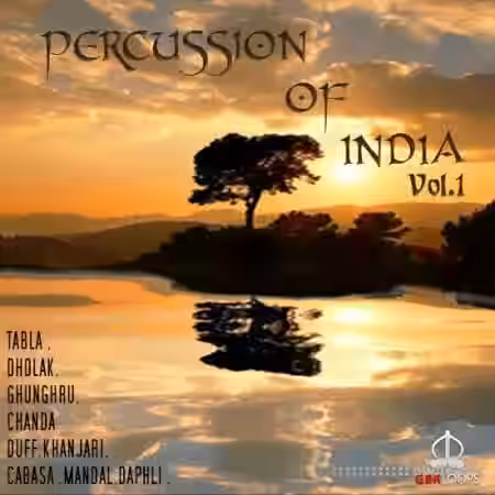 GBR Percussion Percussion Of India Vol.1 [WAV, REX, KONTAKT] - Sample Pack Artwork