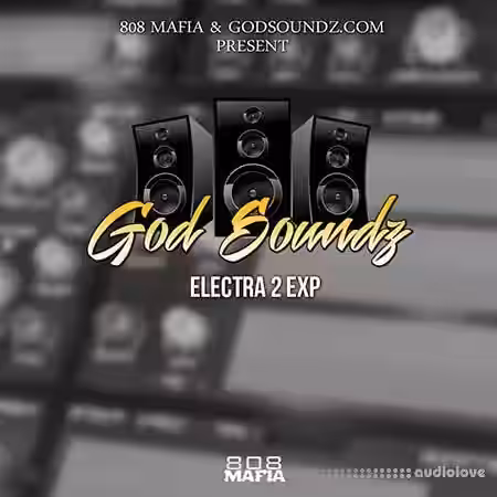 God Soundz ElectraX Expansion Pack [Synth Presets] - Sample Pack Artwork