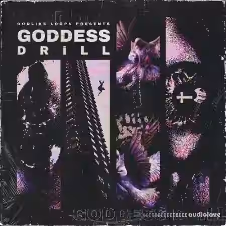 Godlike Loops Goddess Drill [WAV, MiDi] - Sample Pack Artwork