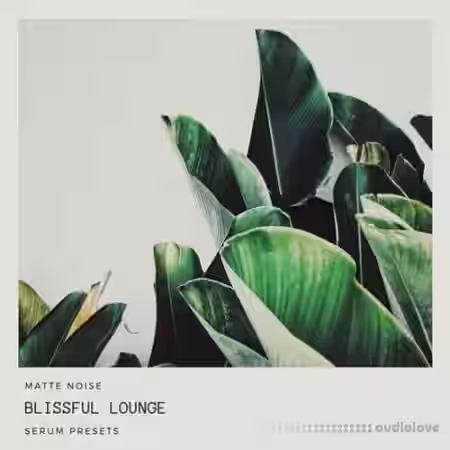 GOGOi Blissful Lounge [Synth Presets] - Sample Pack Artwork