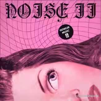 GowlerMusic Noise Ii Royalty Free Sample Pack #gm0106 [WAV]