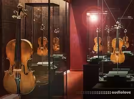 Groove3 CREMONA QUARTET Explained® [TUTORiAL] - Sample Pack Artwork