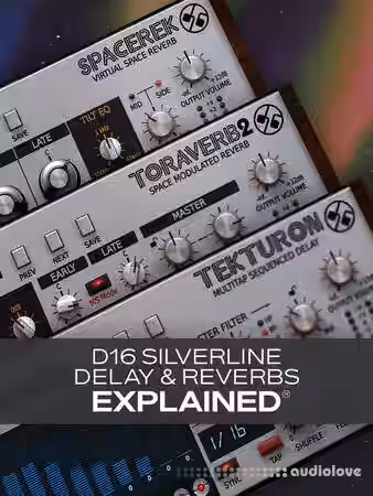 Groove3 D16 Silverline Delays and Reverbs Explained [TUTORiAL] - Sample Pack Artwork