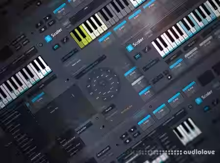 Groove3 Scaler Explained [TUTORiAL] - Sample Pack Artwork