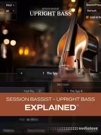 Groove3 Session Bassist Upright Bass Explained [TUTORiAL] - Sample Pack Artwork