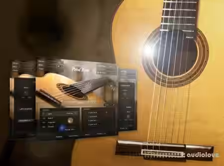 Groove3 Session Guitarist PICKED NYLON Explained [TUTORiAL] - Sample Pack Artwork