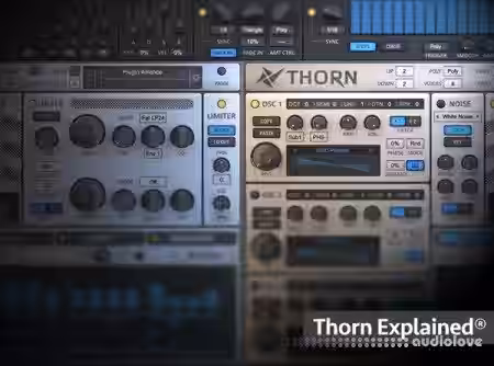 Groove3 Thorn Explained [TUTORiAL] - Sample Pack Artwork
