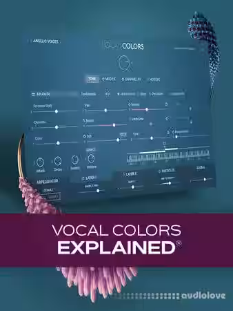 Groove3 Vocal Colors Explained [TUTORiAL] - Sample Pack Artwork