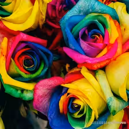 Happy Dagger Psychedelic Rock [WAV] - Sample Pack Artwork