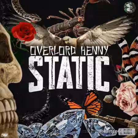 Henny Static Vol.1 [WAV, DAW Templates] - Sample Pack Artwork