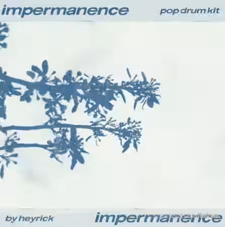 HeyRick impermanence (alternative pop drum kit) [WAV] - Sample Pack Artwork