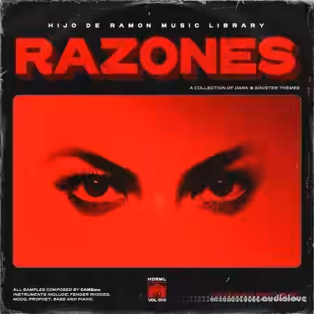 Hijo De Ramon Music Library Vol. 10 Ramones (Compositions and Stems) [WAV] - Sample Pack Artwork