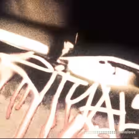 HITGIRL RITUAL Serum Bank [WAV, MiDi, Synth Presets] - Sample Pack Artwork