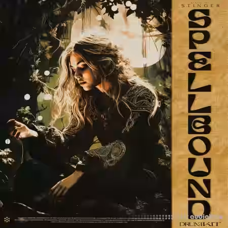 Hive Audio Spellbound Drum Kit [WAV] - Sample Pack Artwork