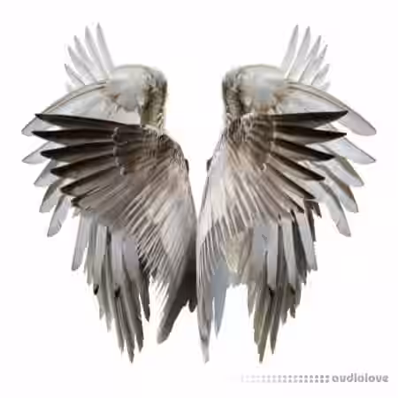 HOLOGRAM Nocturne Drum Kit [WAV] - Sample Pack Artwork