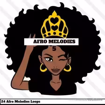 HOOKSHOW Afro Melodies 5 [WAV] - Sample Pack Artwork