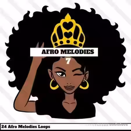 HOOKSHOW Afro Melodies 7 [WAV] - Sample Pack Artwork
