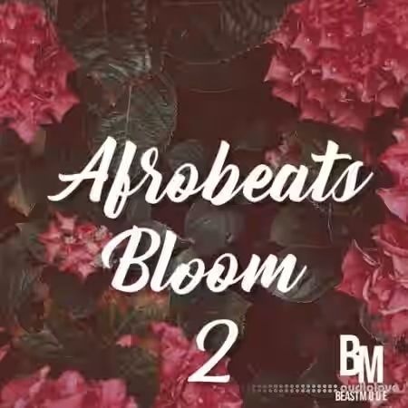 HOOKSHOW Afrobeats Bloom 2 [WAV] - Sample Pack Artwork