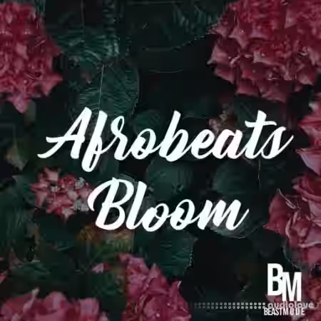 HOOKSHOW Afrobeats Bloom [WAV] - Sample Pack Artwork