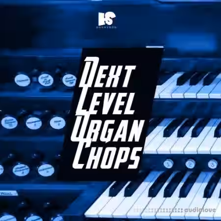 HOOKSHOW Next Level Organ [WAV] - Sample Pack Artwork