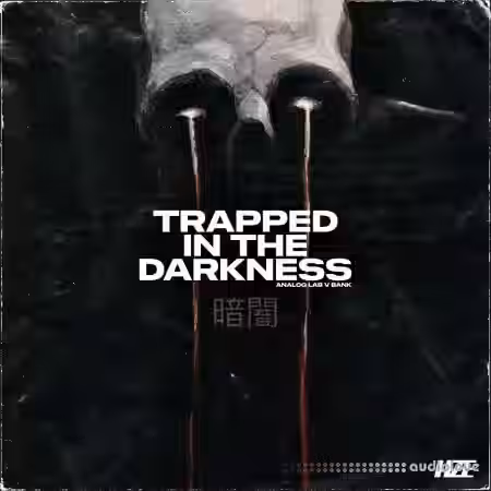 Hze Trapped in The Darkness (Analog Lab V Bank) [Synth Presets] - Sample Pack Artwork