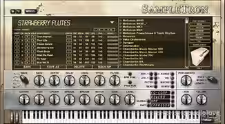 IK Multimedia SampleTron Instruments [WiN]