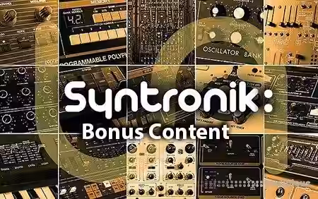 IK Multimedia Syntronik Bonus Content [Syntronik] - Sample Pack Artwork