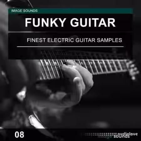 Image Sounds Funky Guitar 08 [WAV] - Sample Pack Artwork