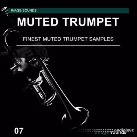 Image Sounds Muted Trumpet 07 [WAV] - Sample Pack Artwork