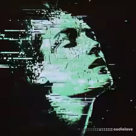 Imaginando FRMS Fragmented Chants [Synth Presets] - Sample Pack Artwork