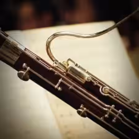 Imaginando FRMS Sounds Of Bassoon [Synth Presets] - Sample Pack Artwork