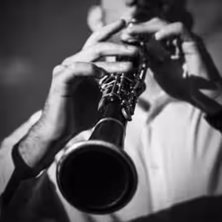 Imaginando FRMS Sounds Of Clarinet [Synth Presets] - Sample Pack Artwork