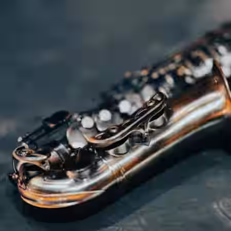 Imaginando FRMS Sounds Of Saxophone 2 [Synth Presets] - Sample Pack Artwork