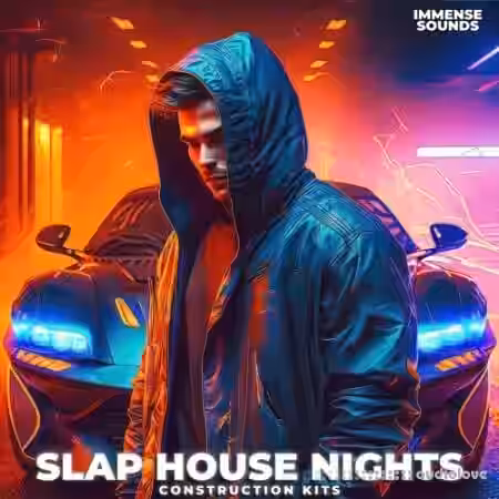 Immense Sounds Slap House Nights [WAV, MiDi, Synth Presets] - Sample Pack Artwork