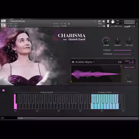 Impact Soundworks Charisma Volume 1 [KONTAKT] - Sample Pack Artwork