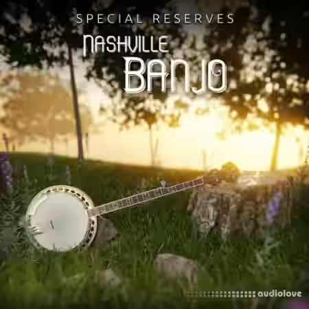 Impact Soundworks Special Reserves Nashville Banjo [KONTAKT] - Sample Pack Artwork
