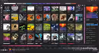 Imploded Software Helium Streamer v4.0.1.1348 [WiN]